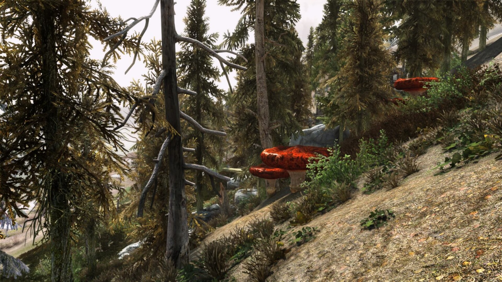 《上古卷轴5：天际重制版》晨风之影MOD现已发布